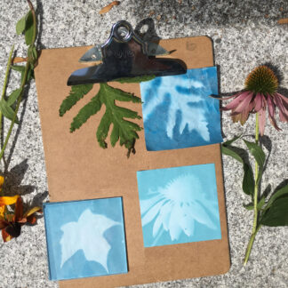 Printing in the Meadow: <br/> Cyanotypes <br/> July 22, 2026