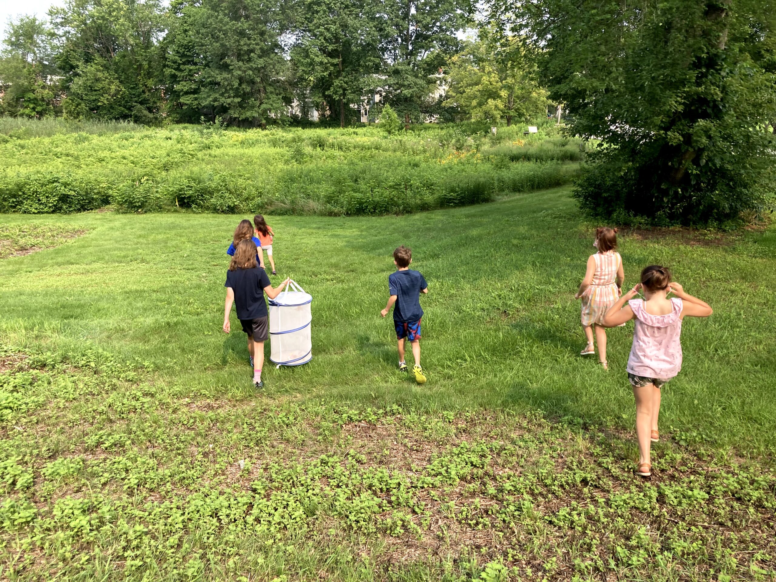 Meadow Mission: <br/> Eco-Explorers and Wildflower Seed Balls <br/> August 5, 2026